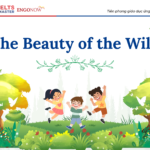 từ vựng tiếng Anh chủ đề Nature