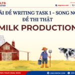 ielts writing task 1